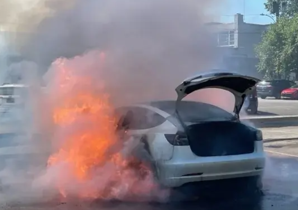 Tesla Fire statistics authority