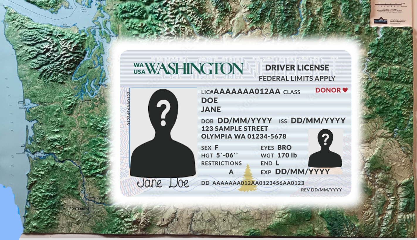 Undocumented immigration to the US